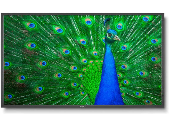 NEC C651Q Signage Display (65'' - Ultra HD)