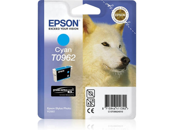 EPSON Ink Cartridge C13T09624010