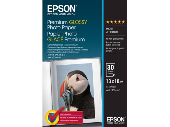 EPSON Photo Paper C13S042154