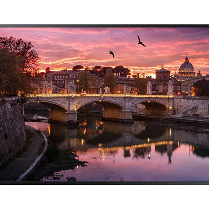 Signage Display SAMSUNG QB65R (64.5'' - Full HD)