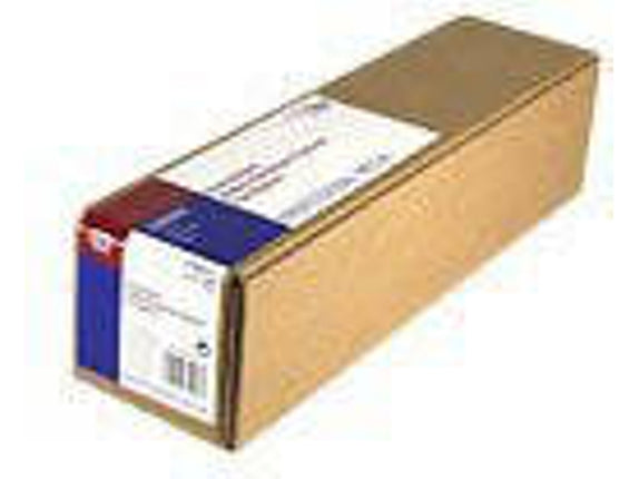 EPSON Rolo de WaterResistant Matte Canvas Photo Paper, 17 pol. x 2.1 m, 375g/m².