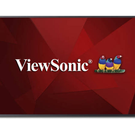VIEWSONIC CDE5010 Signage Display (50'' - Ultra HD)