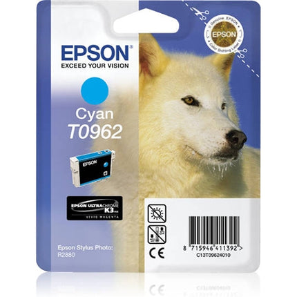 EPSON Ink Cartridge C13T09624010