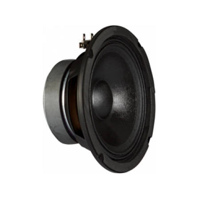 Speakers FONESTAR FPW100 50 W