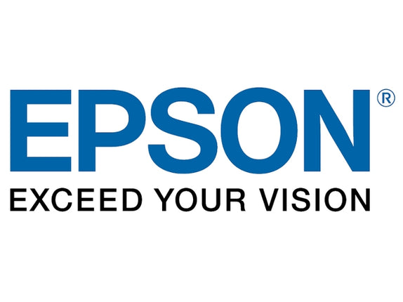 EPSON C13T887100 Ink Cartridge