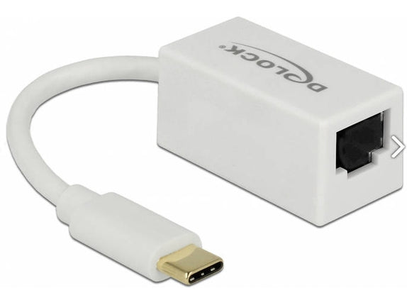 DELOCK Interface Cable 65906